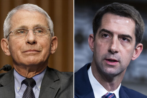 Tom Cotton: Fauci now acting like a Democrat ‘activist,’ not a scientist or doctor