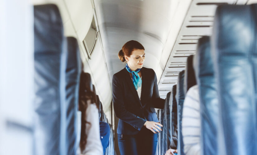 Flight attendant reveals controversial in-flight travel hacks in TikTok video