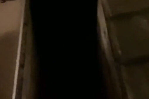 Creepy hidden cellar full of green liquid discovered in vacation home