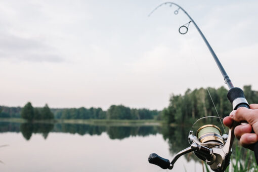 Fisherman accidentally catches record-breaking fish while trying to catch bait for larger fish