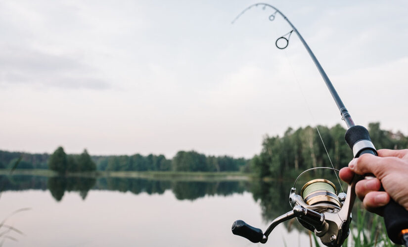 Fisherman accidentally catches record-breaking fish while trying to catch bait for larger fish