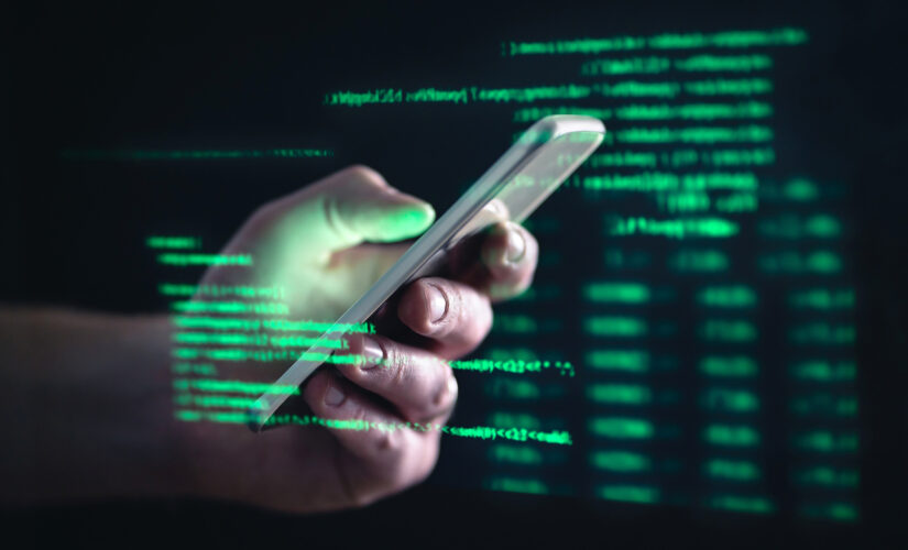 ‘Broader economy’ at risk if US doesn’t act on cybercriminals soon, GOP lawmaker says
