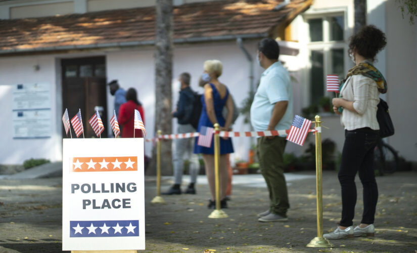 Widespread support for voter ID and making early voting easier: national poll