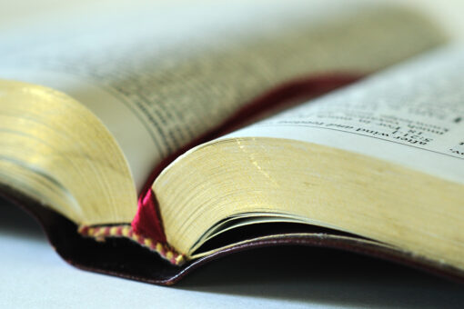 Oklahoma family reunited with late mother’s Bible after man finds it in his yard