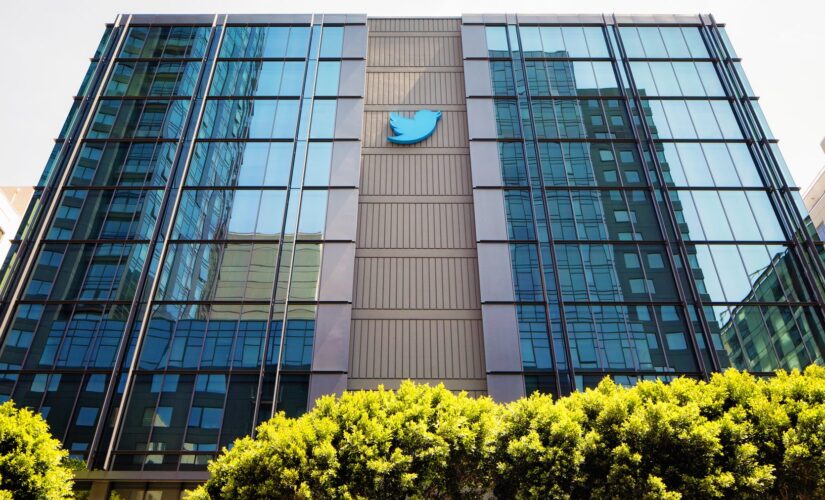 Twitter declares access to its platform a ‘human right’ amid censorship of conservatives