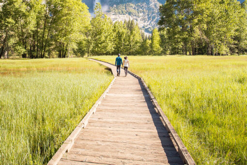 Crowds are swarming to national parks after a year of lockdowns