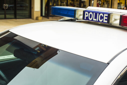 Nude sunbathers, startled by deer, get lost, fined $1,000 for breaking COVID-19 lockdown orders