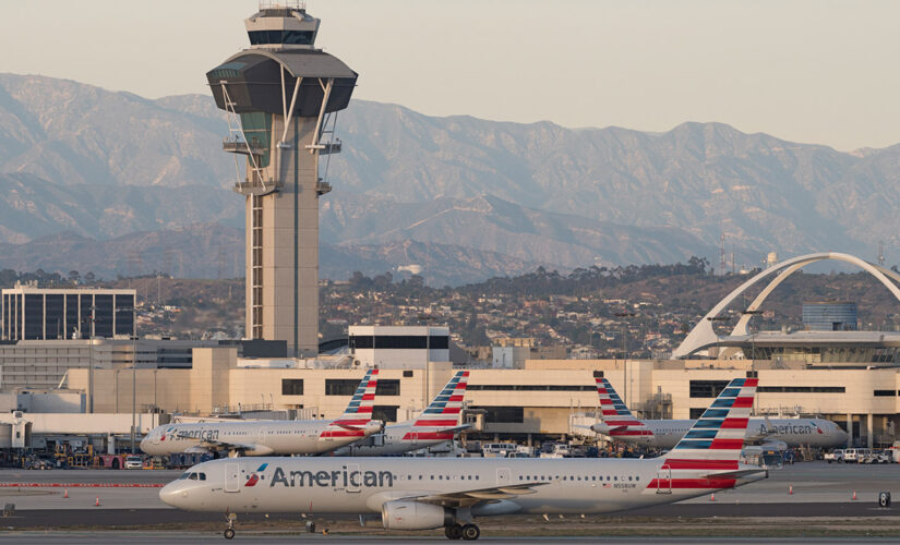 LAX traveler, after possible hijacking attempt, opens door, jumps out of aircraft