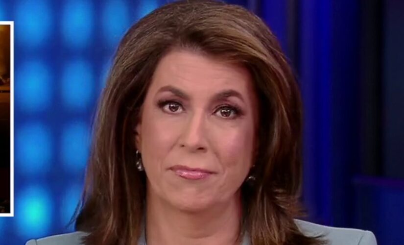 Tammy Bruce: Democrats operating ‘fear machine’ to push radical agenda