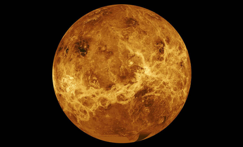 Study nixes life in clouds of Venus, but maybe in Jupiter’s?