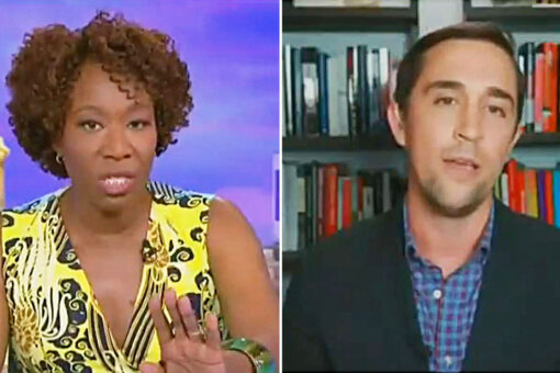MSNBC trashed on YouTube for claiming Joy Reid ‘schooled’ guest on critical race theory: ‘An embarrassment’