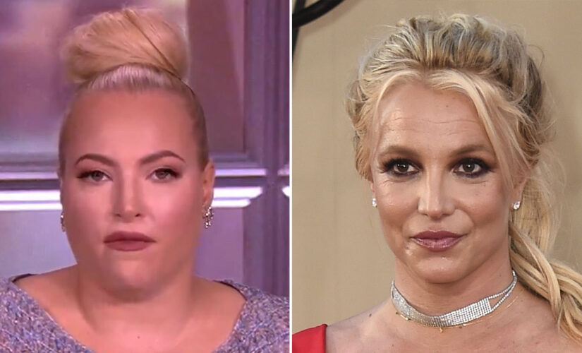 Meghan McCain calls on FBI to immediately ‘extradite’ Britney Spears from her home following court testimony