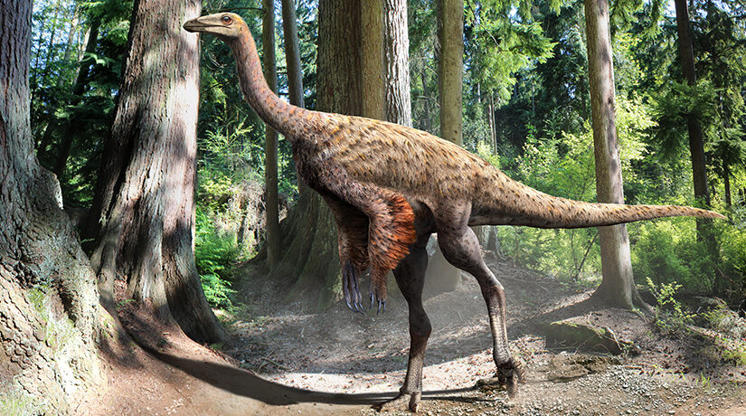 Florida woman still believes she saw a ‘small dinosaur’ running through yard