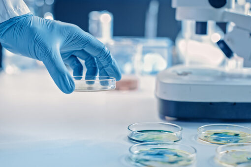 New discovery could help take down drug-resistant bacteria