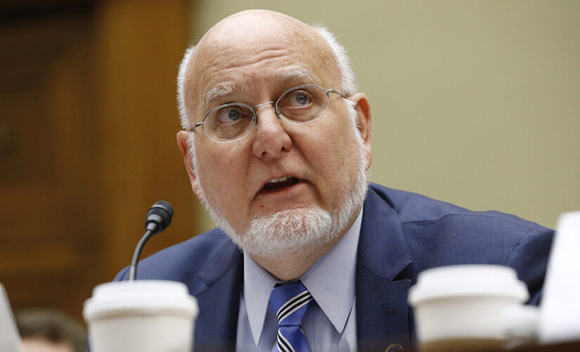 Trump CDC Director expresses concern about gain-of-function research, recalls shuttering MD germ lab