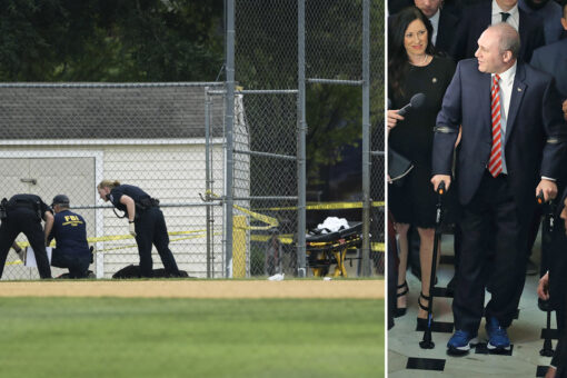 Steve Scalise recognizes anniversary of GOP baseball shooting: ‘We must never defund the police’