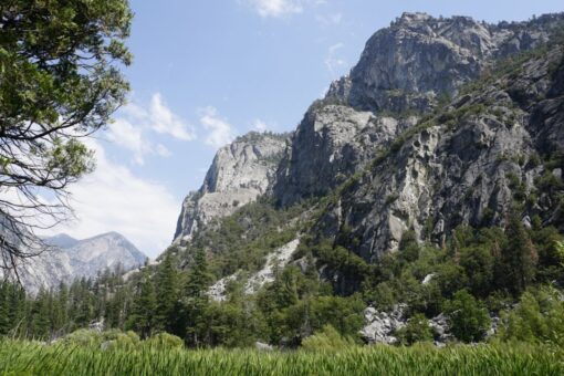 California hiker dies after falling 500 feet at Sequoia National Park