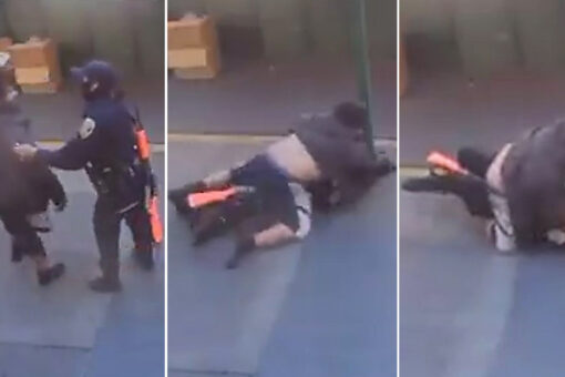 San Francisco homeless man’s assault on cop shows dangers of police staff shortages, progressive agenda: union