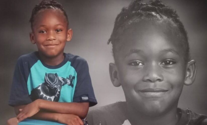South Carolina authorities seize six dogs in connection to mauling death of 7-year-old child