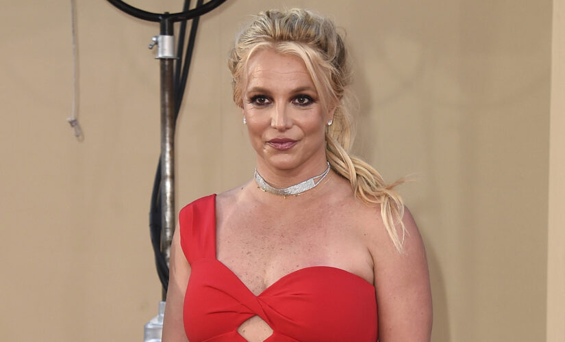 Britney Spears gives fans a glimpse into Hawaii getaway: ‘GOD BLESS YOU ALL’