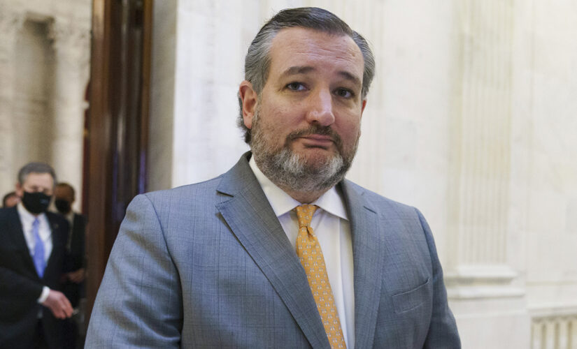 Critical race theory is as racist as ‘the Klansman in white sheets’: Ted Cruz