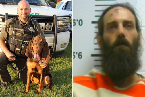 Tennessee sheriff’s bloodhound helps find missing 6-year-old girl allegedly abducted by father