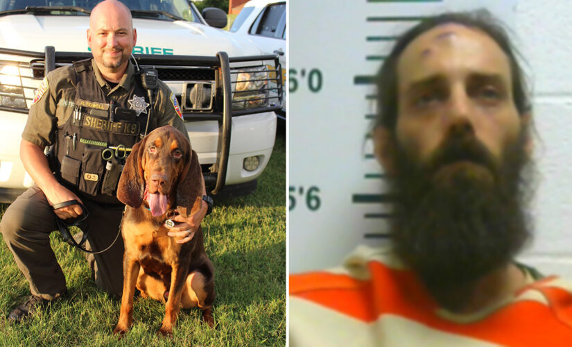 Tennessee sheriff’s bloodhound helps find missing 6-year-old girl allegedly abducted by father