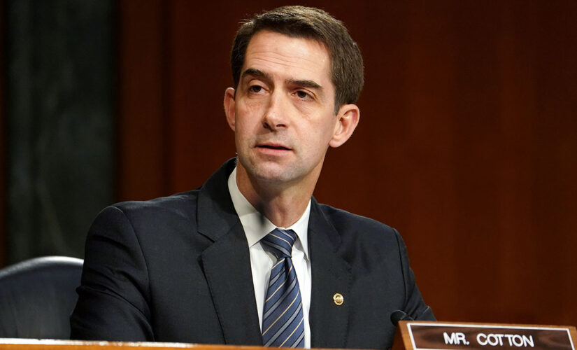 Cotton presses defense secretary on ‘anti-American indoctrination’ as Austin defends diversity push