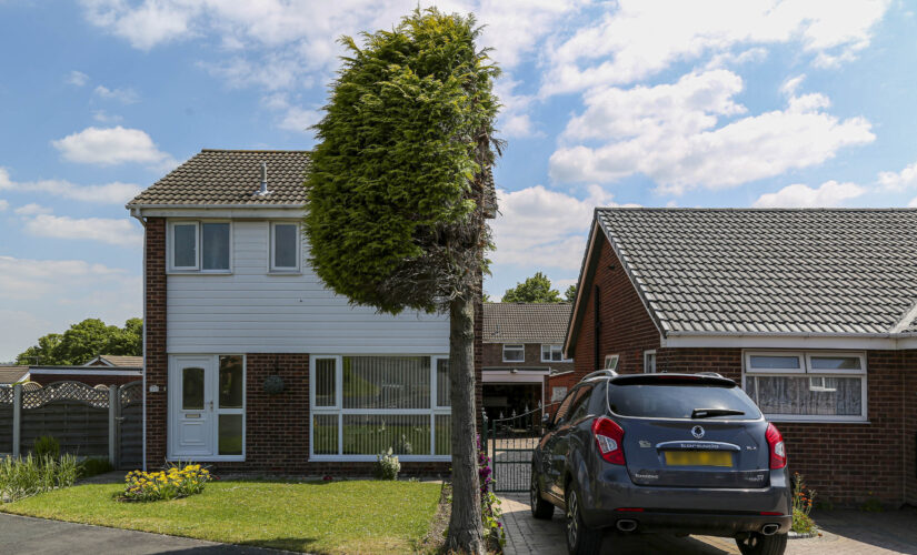 UK neighbors cut tree in half over bird poop dispute: ‘We were absolutely distraught’