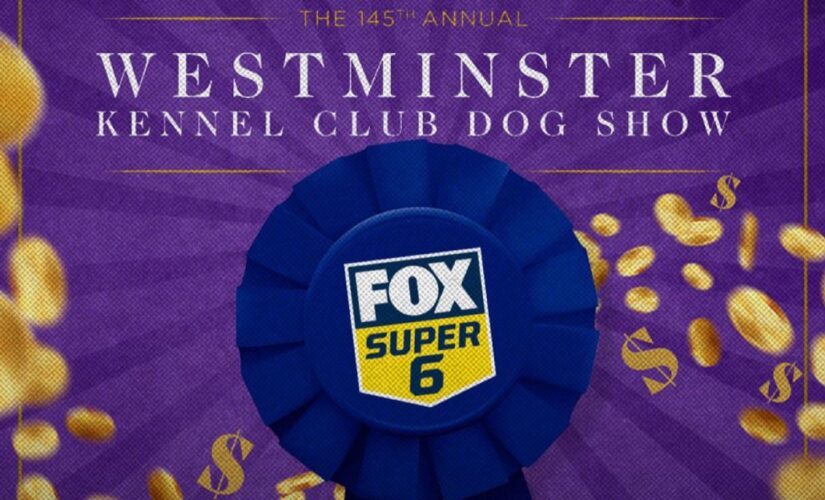 How to win $1,000 for free on the Westminster Kennel Club Dog Show on Sunday