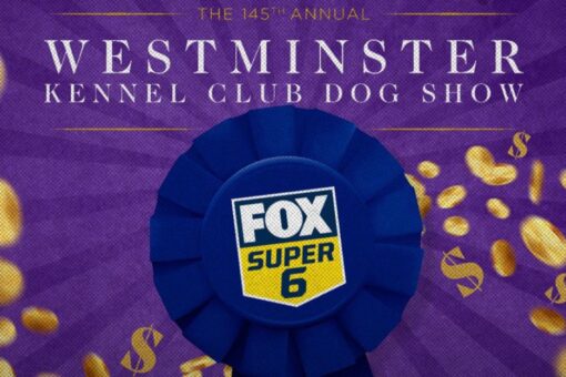 How to win $1,000 for free on the Westminster Kennel Club Dog Show on Sunday