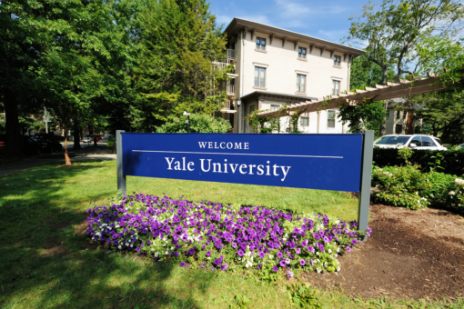 NYC shrink tells Yale audience she fantasizes about shooting White people in head