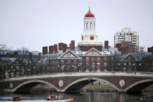 Harvard lecturer takes heat for defending existence of biological sex on ‘Fox & Friends’