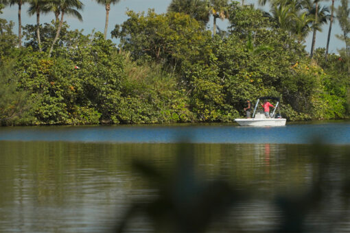 Deadly duo behind Long Island woman’s decapitation allegedly prayed to an ‘alligator god’ before arrest: doc
