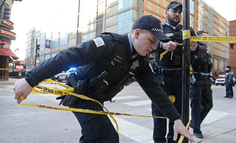 Chicago boy, 14, shot twice in the head while sitting in parked car, police say