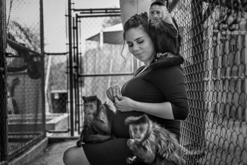 Mom shares spotlight with exotic animals in maternity photo shoot