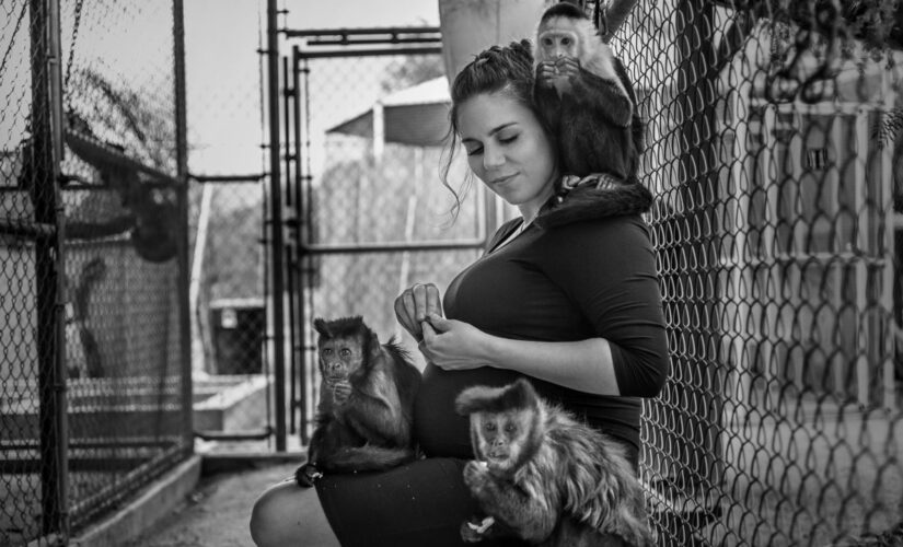 Mom shares spotlight with exotic animals in maternity photo shoot