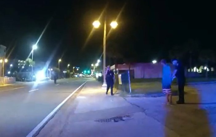 Florida man accused of trying to throw alligator on roof to teach it a lesson: report