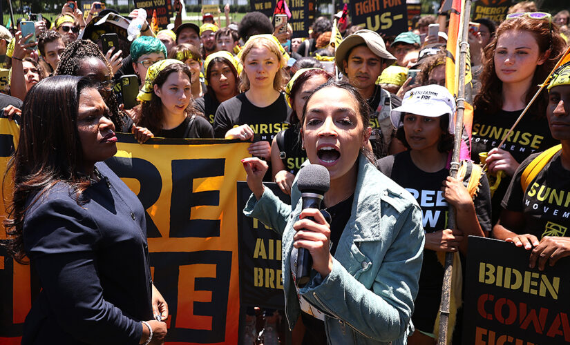 AOC accused of judging legislation by skin color of its supporters