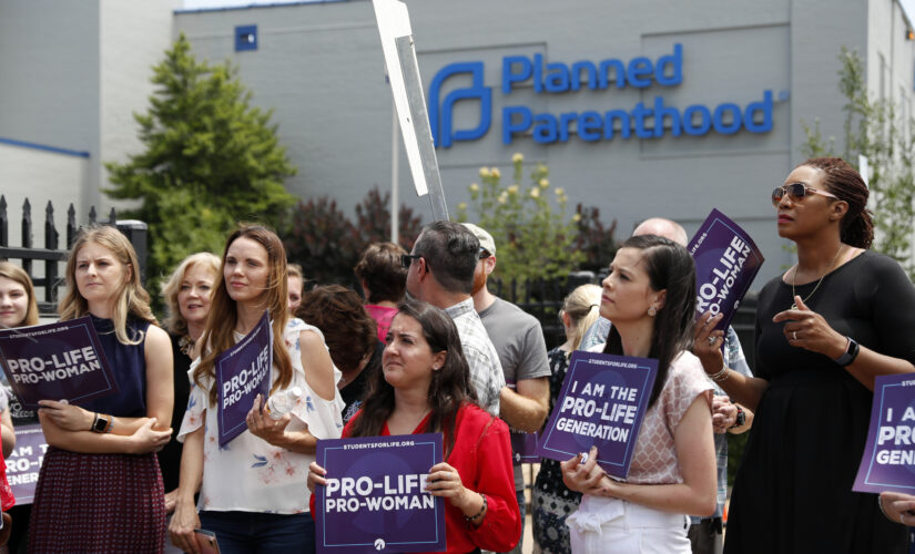 MSNBC contributors slam pro-life advocates: They treat women like ‘they’re incubators with mouthparts’