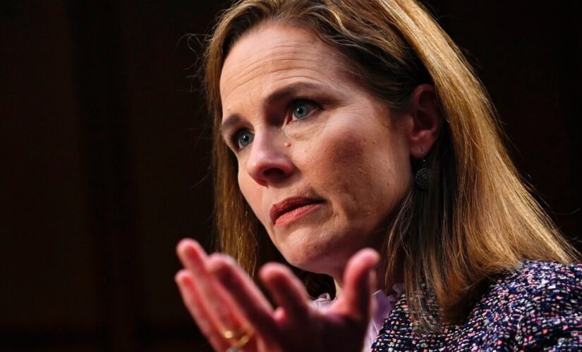 Social conservatives ‘frustrated’ over Trump Supreme Court justices’ rulings