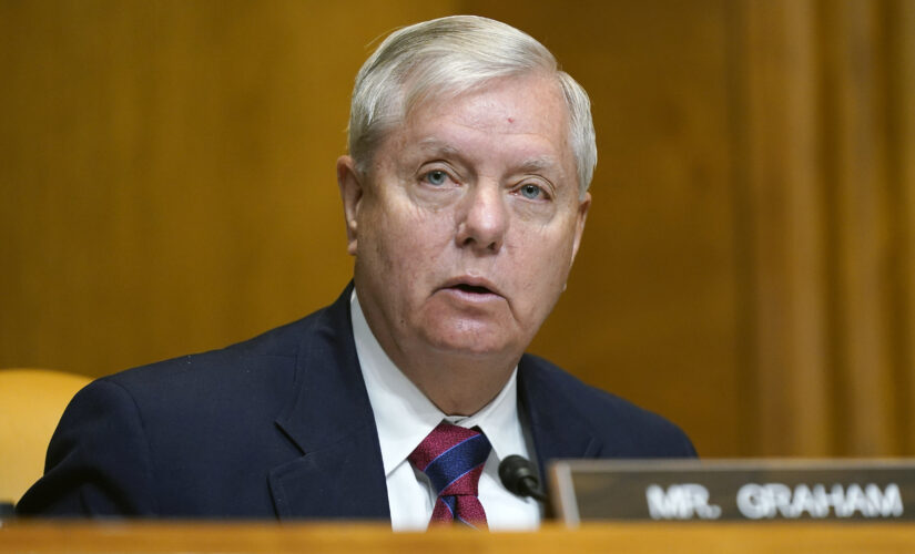 Sen. Lindsey Graham: Amnesty will lead to a run on the border