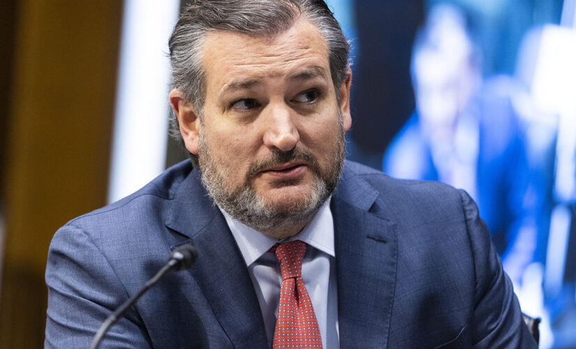 Cruz excoriates Cori Bush’s ‘stolen land’ tweet as ‘divisive lies’