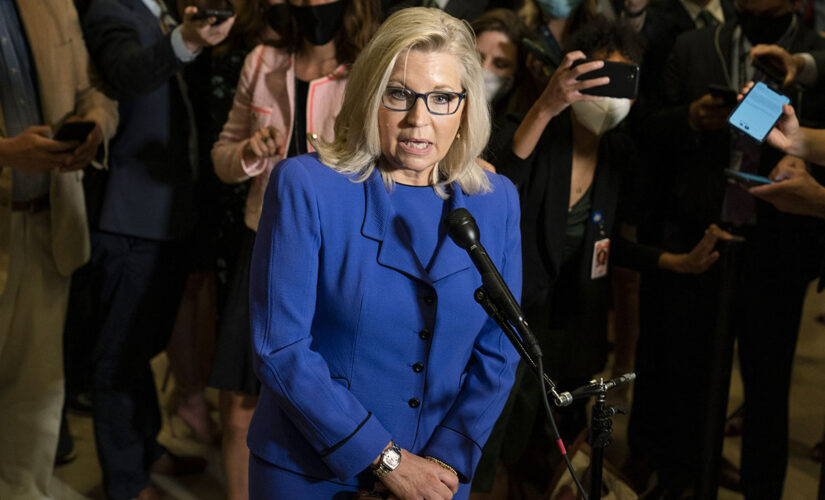 Cheney backs Pelosi rejection of Republican Leader McCarthy choices for Jan. 6 panel