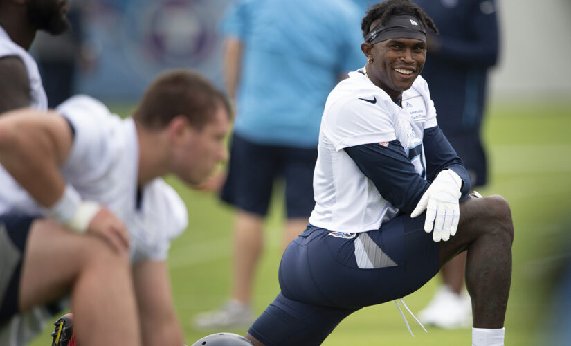Cannabis company files suit against Julio Jones, others