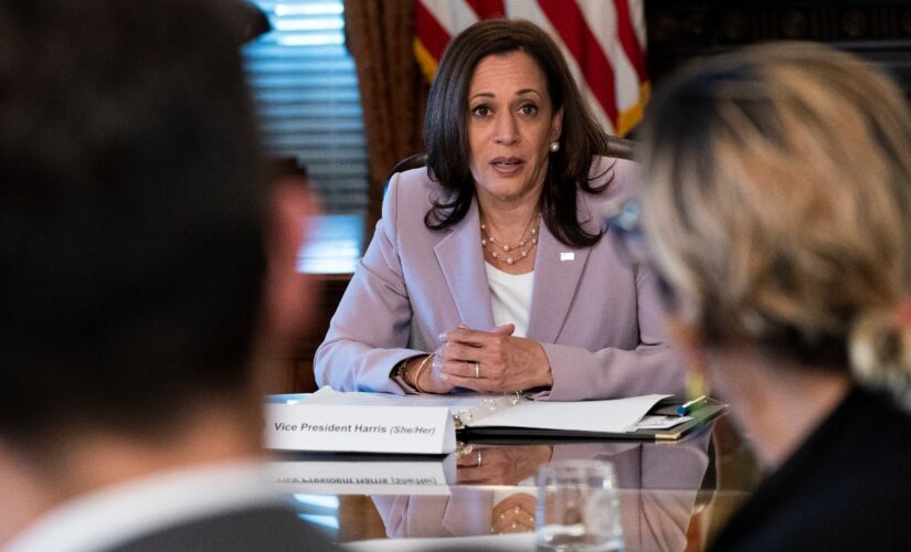 Kamala Harris allies rush to play damage control amid White House infighting