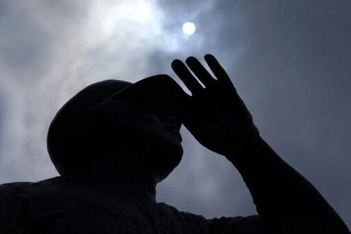 Record Northwest heat may have killed hundreds