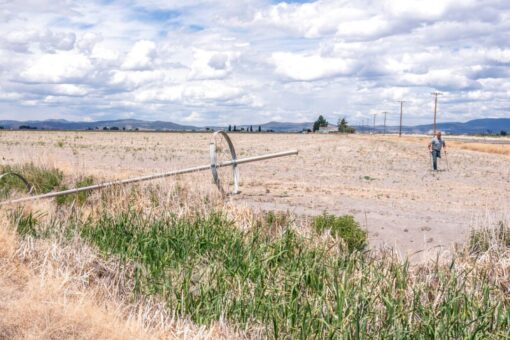 Western farmers fight for fairness, businesses amid drought ‘like Hurricane Katrina’