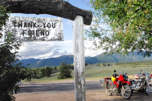 Grizzly bear attacks, kills camper in western Montana
