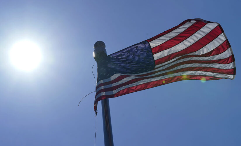 Video of child ripping flag from yard and tossing it as adult looks on goes viral